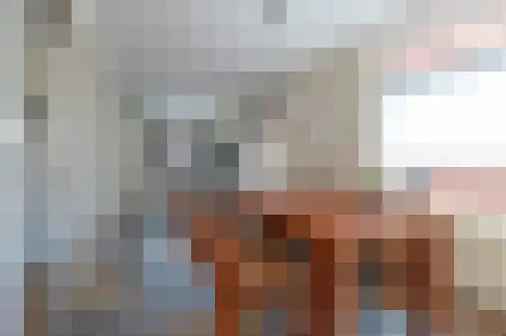 Herenstraat 63 Slagharen thumbnail 4