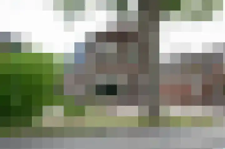 Herenstraat 63 Slagharen thumbnail 44