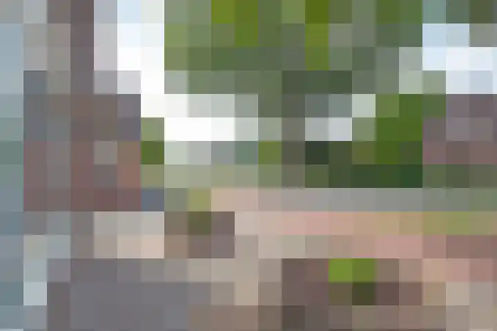 Herenstraat 63 Slagharen thumbnail 47
