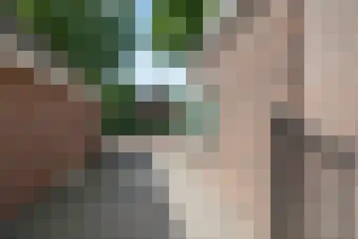 Herenstraat 63 Slagharen thumbnail 48
