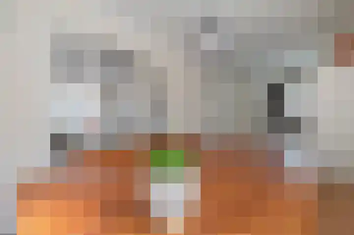 Herenstraat 63 Slagharen thumbnail 5