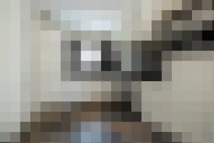 Herenstraat 63 Slagharen thumbnail 6