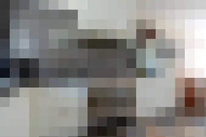 Herenstraat 63 Slagharen thumbnail 8