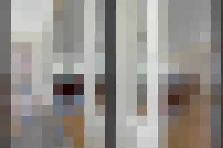 Herenstraat 63 Slagharen thumbnail 9
