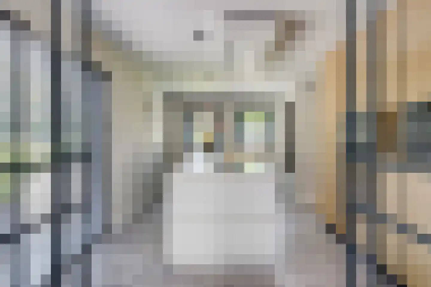 Herenstraat 65 Nieuwegein thumbnail 13
