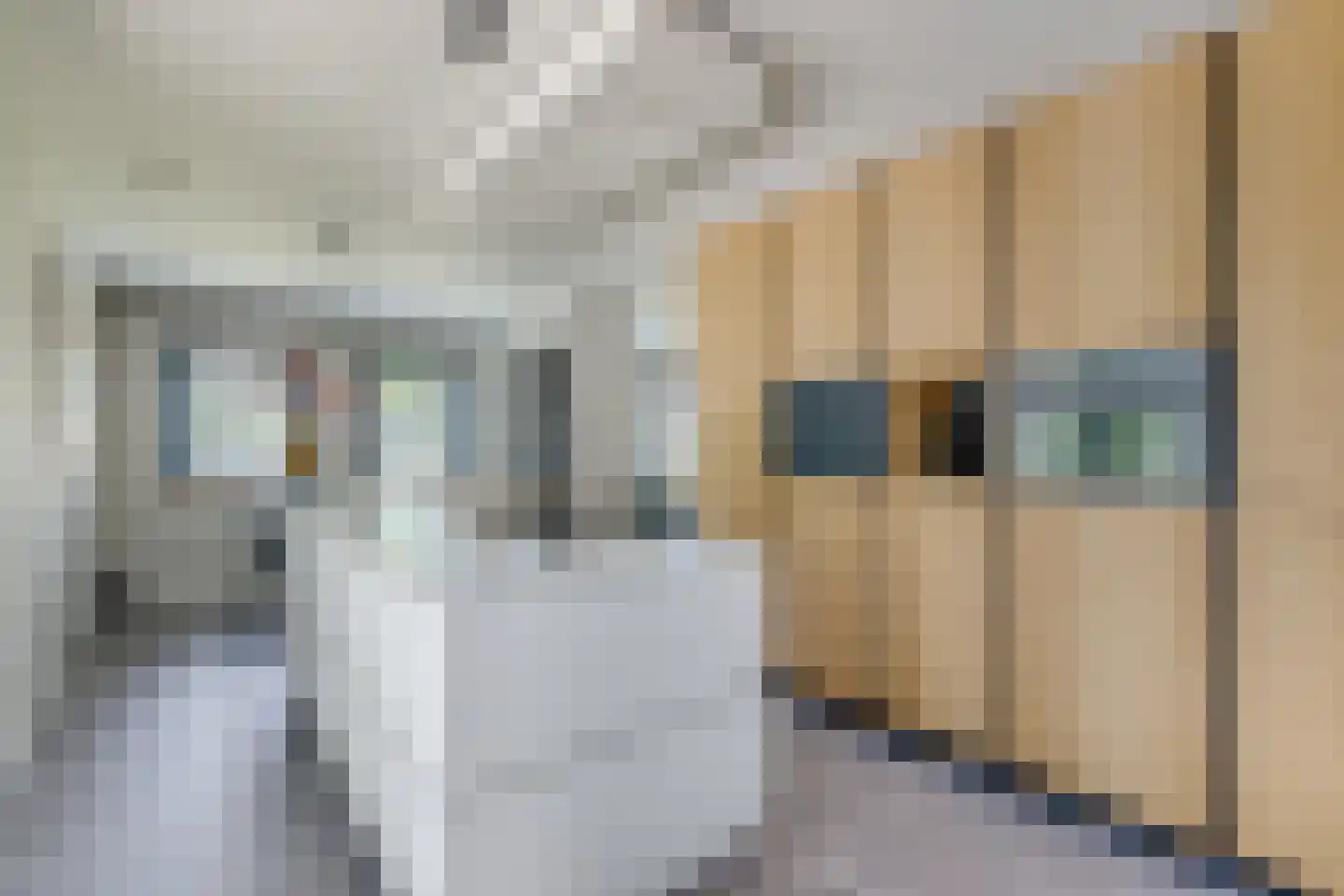 Herenstraat 65 Nieuwegein thumbnail 14