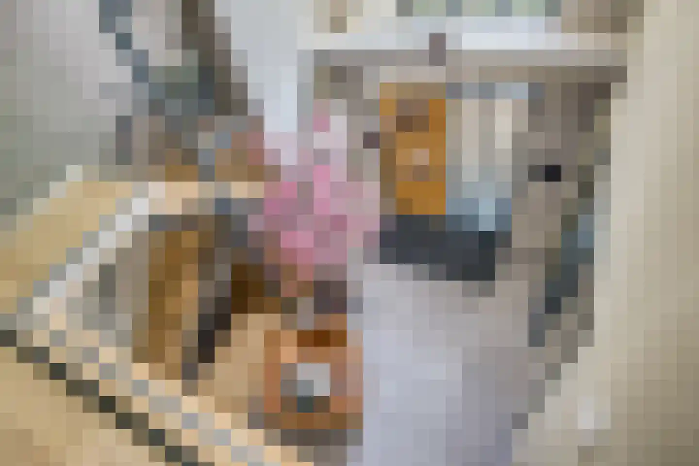 Herenstraat 65 Nieuwegein thumbnail 30