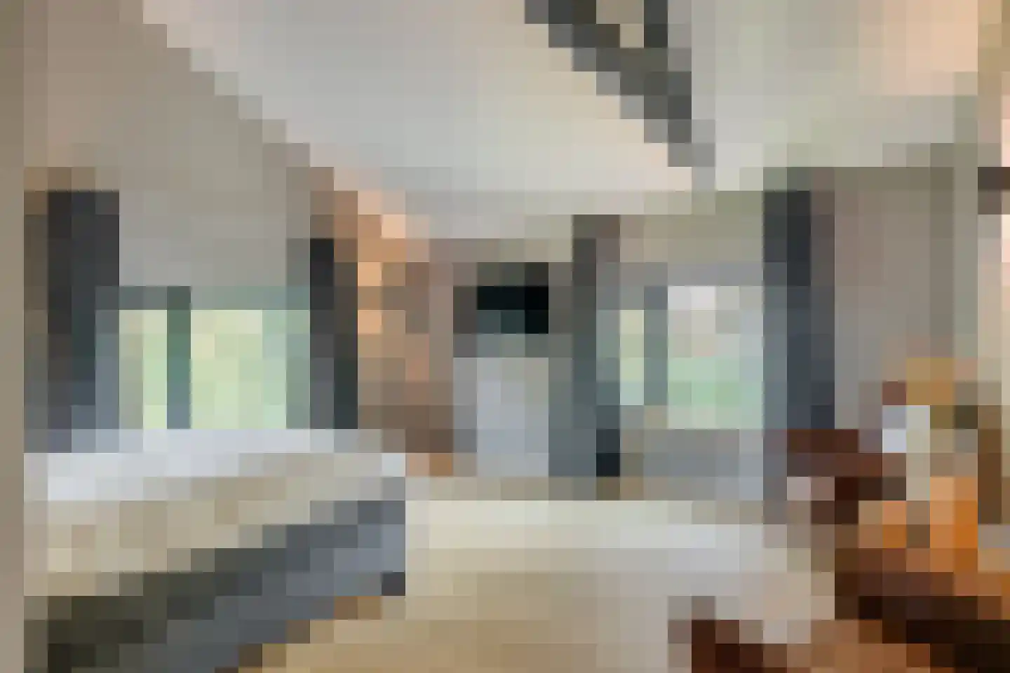 Herenstraat 65 Nieuwegein thumbnail 32