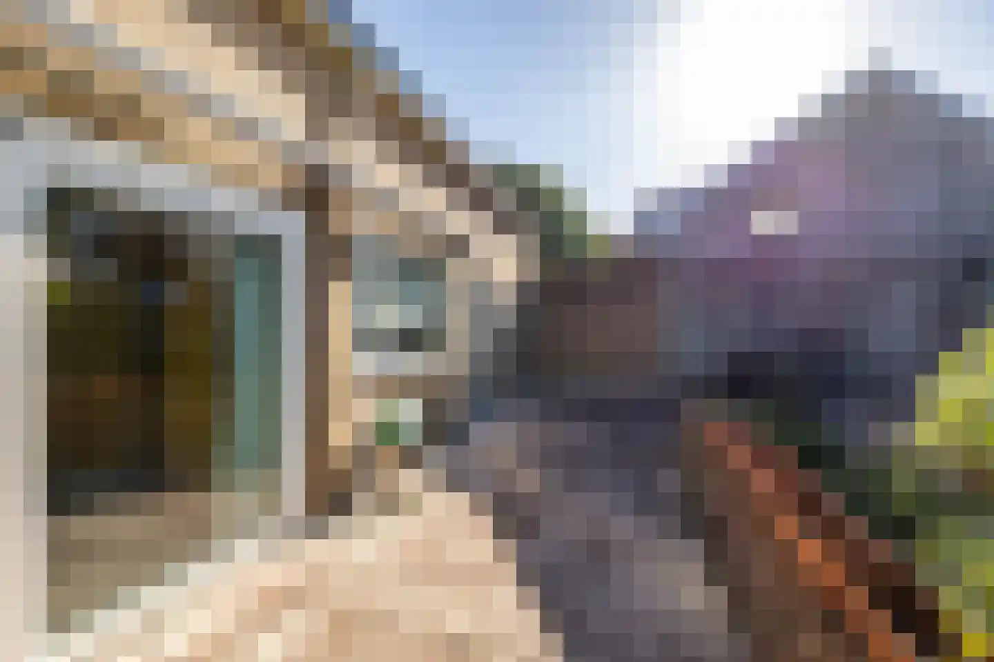 Herenstraat 67 Sappemeer thumbnail 24