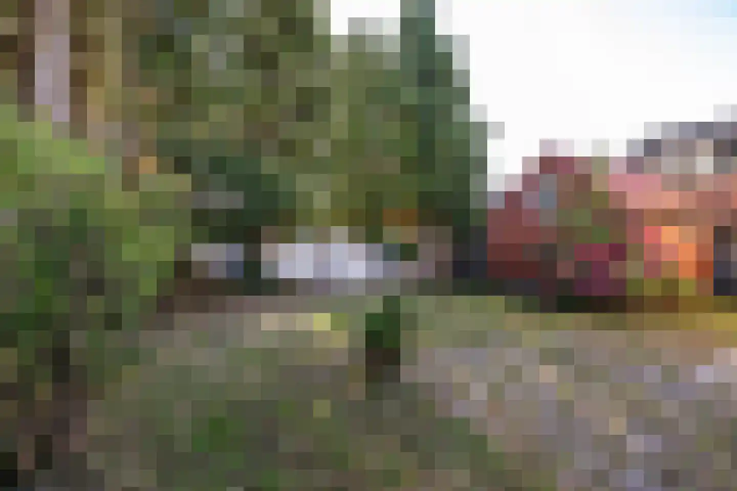 Herenstraat 67 Sappemeer thumbnail 43