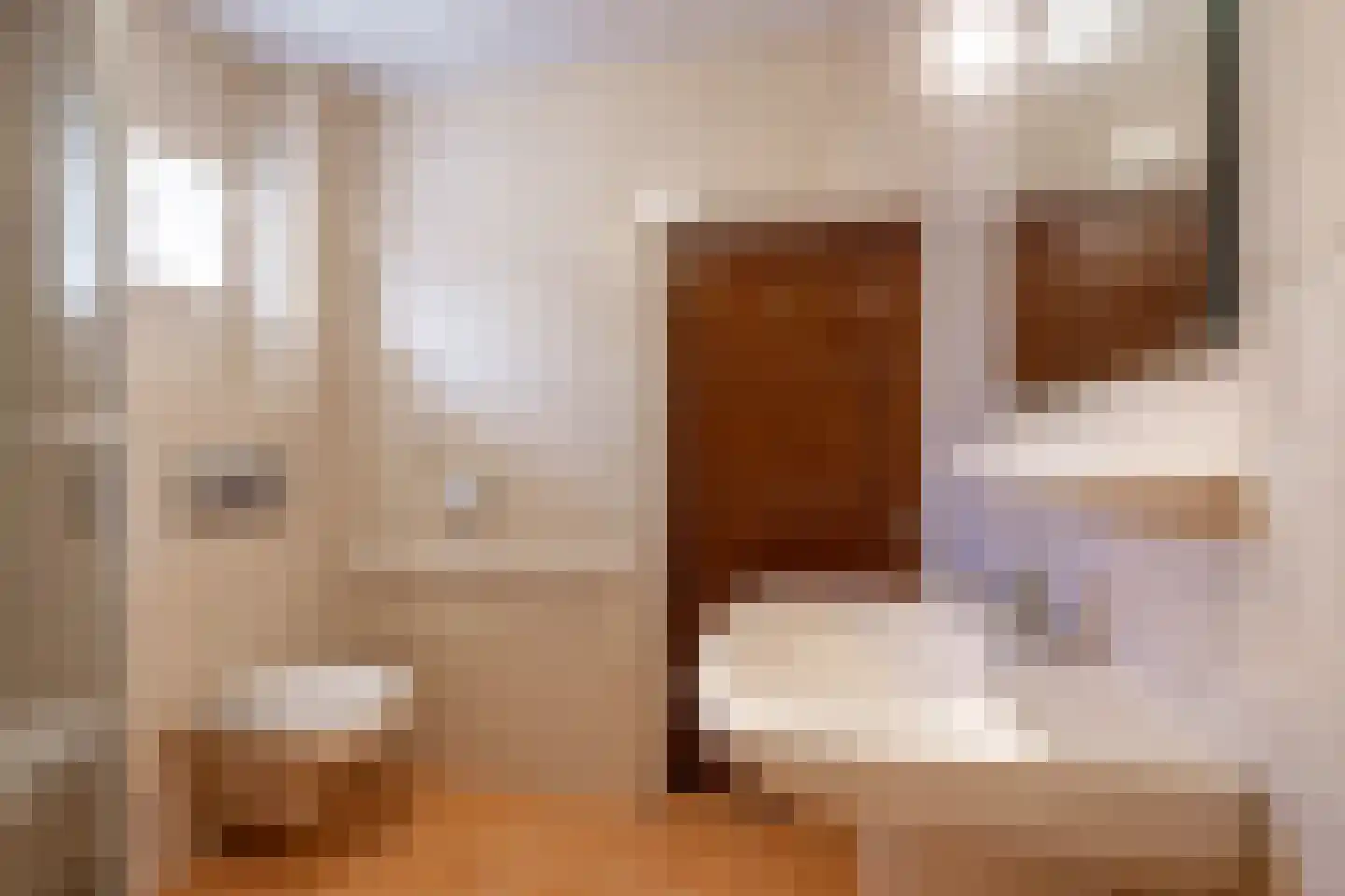Herenstraat 67 Sappemeer thumbnail 51