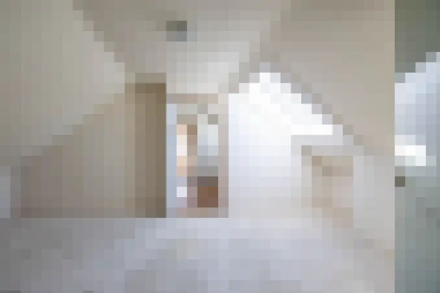 Herenstraat 67 Sappemeer thumbnail 68