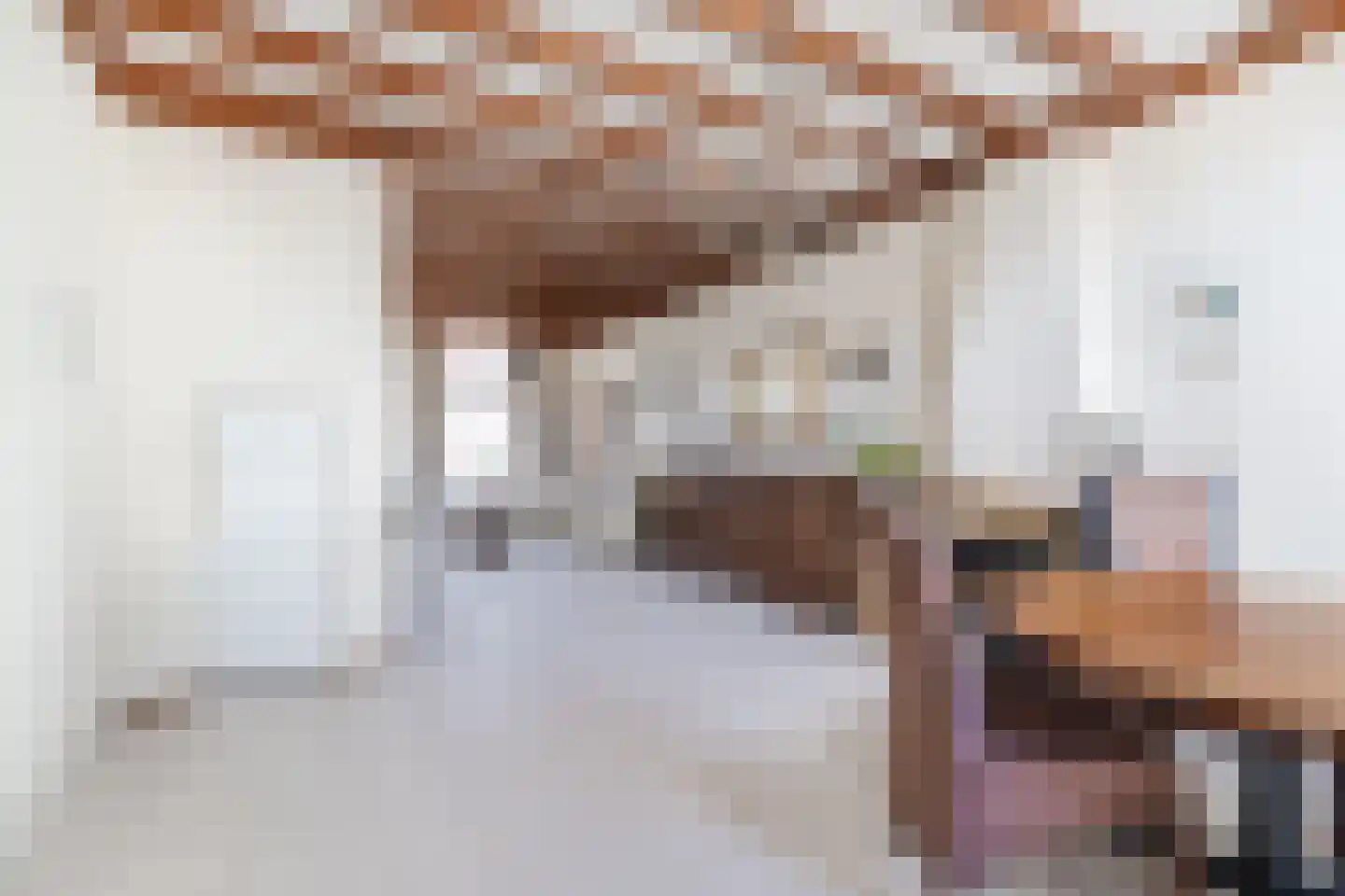 Herenstraat 68 Breukelen thumbnail 10