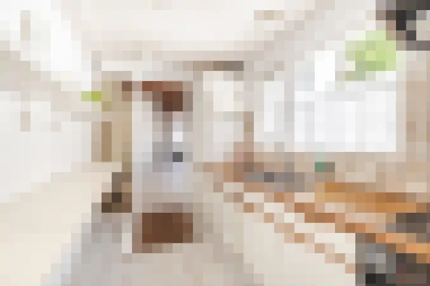 Herenstraat 68 Breukelen thumbnail 12