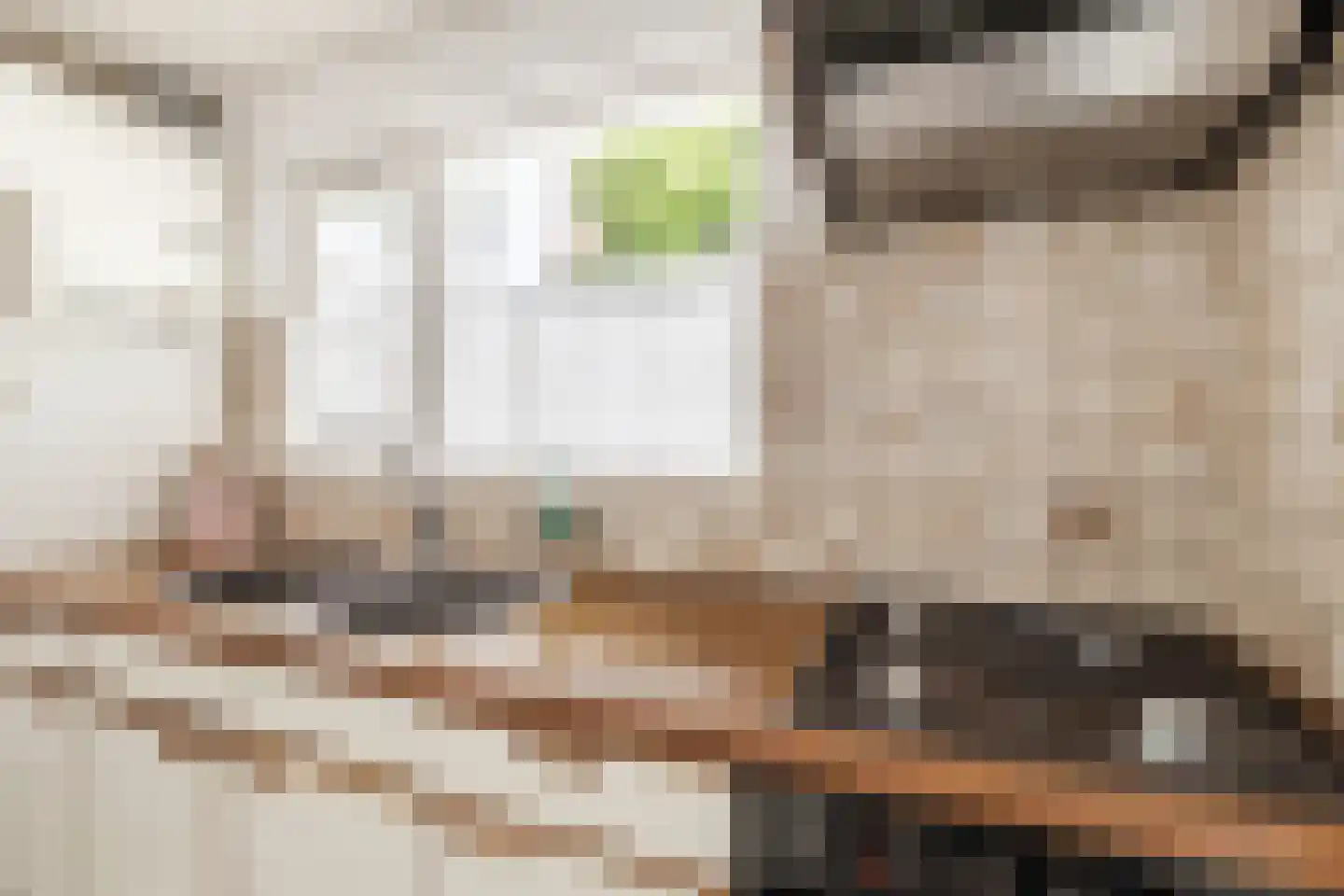 Herenstraat 68 Breukelen thumbnail 13