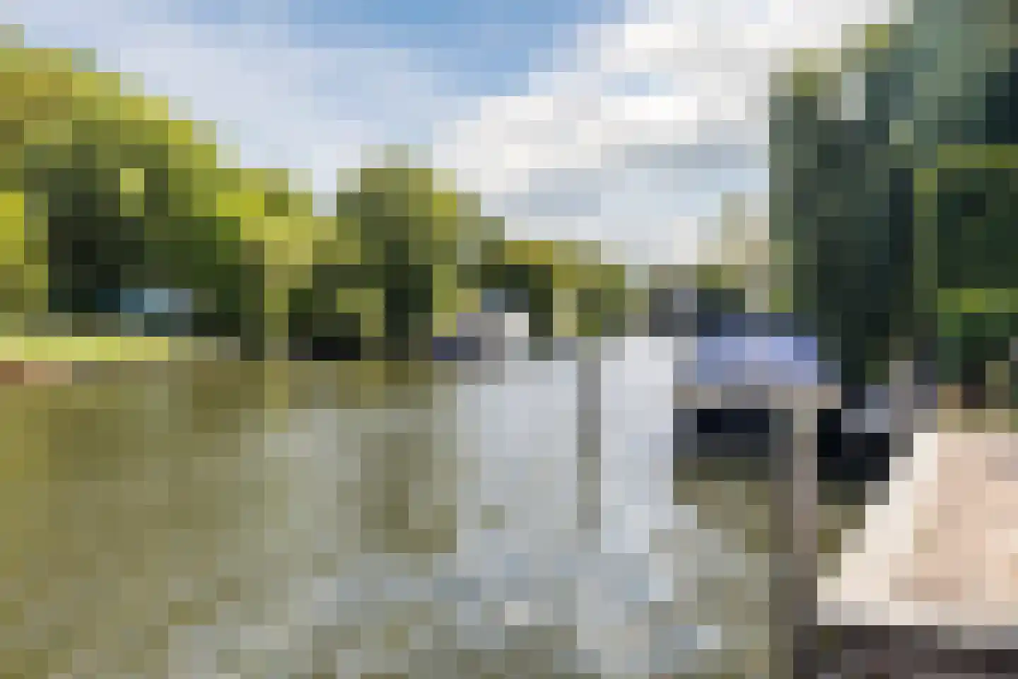 Herenstraat 68 Breukelen thumbnail 44