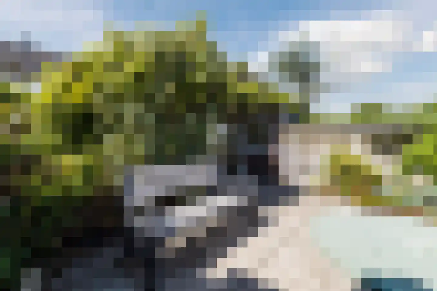 Herenstraat 68 Breukelen thumbnail 46