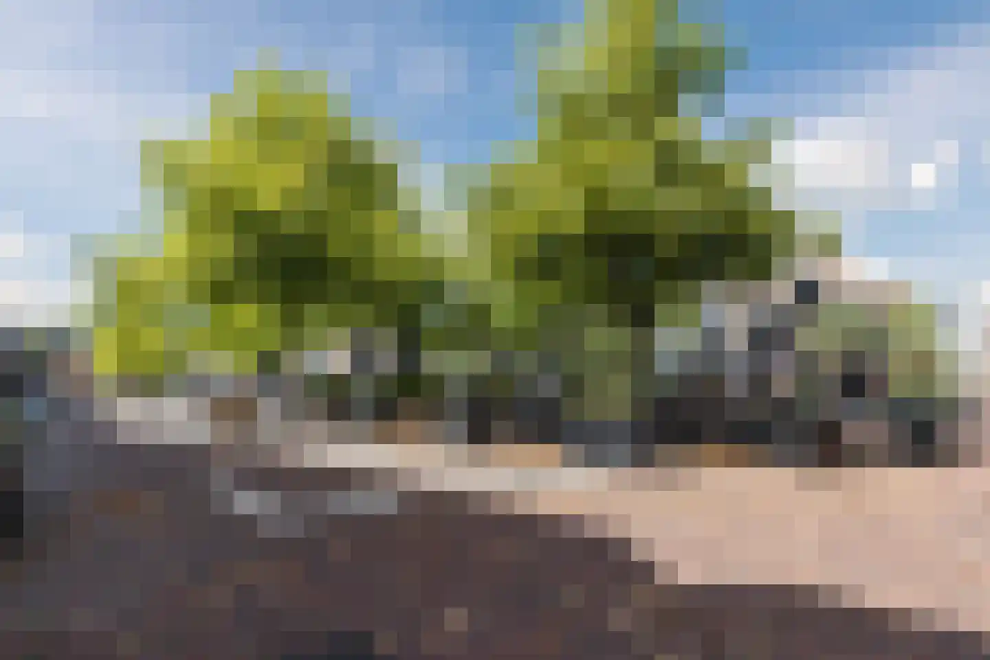 Herenstraat 68 Breukelen thumbnail 54
