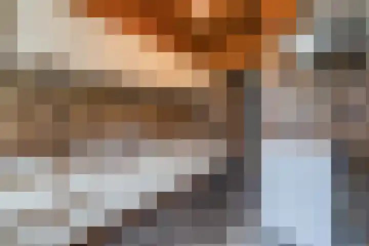 Herenstraat 69 Weert thumbnail 9