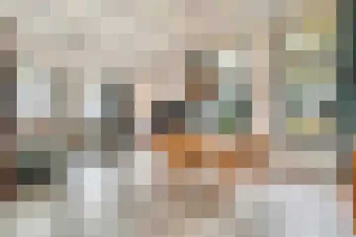Herenstraat 70 Slagharen thumbnail 11
