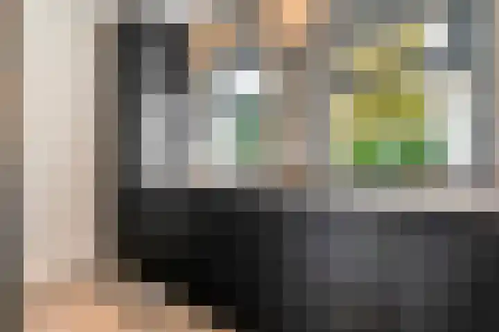 Herenstraat 70 Slagharen thumbnail 14