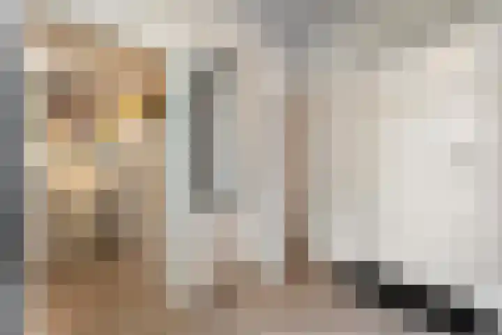Herenstraat 70 Slagharen thumbnail 17
