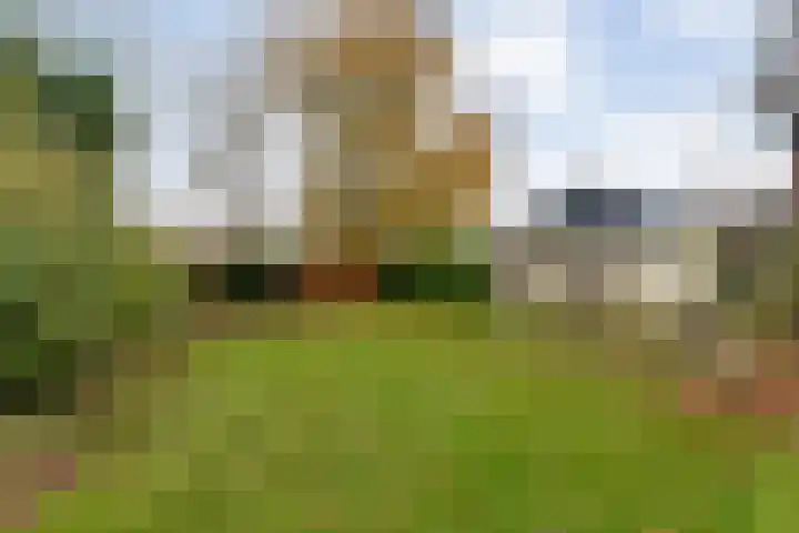 Herenstraat 70 Slagharen thumbnail 31