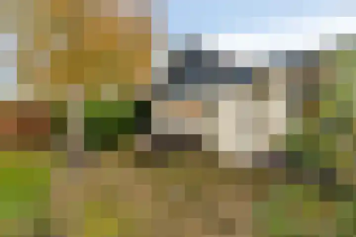 Herenstraat 70 Slagharen thumbnail 33