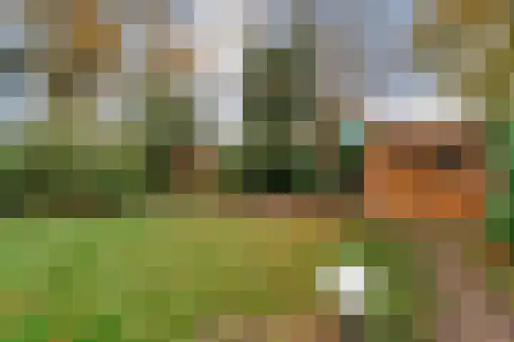 Herenstraat 70 Slagharen thumbnail 35