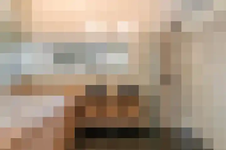 Herenstraat 70 Slagharen thumbnail 5