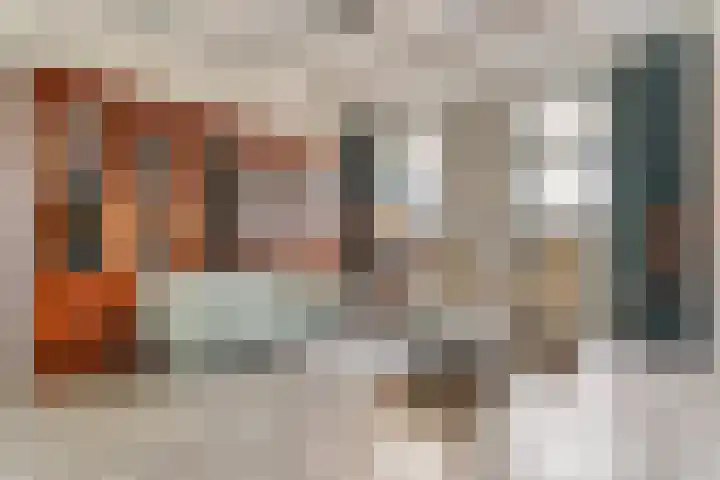 Herenstraat 70 Slagharen thumbnail 8