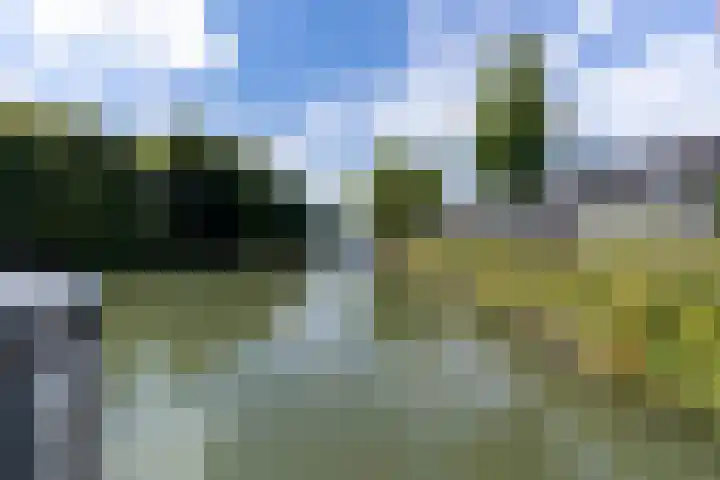 Herenstraat 71 C Nieuwegein thumbnail 61