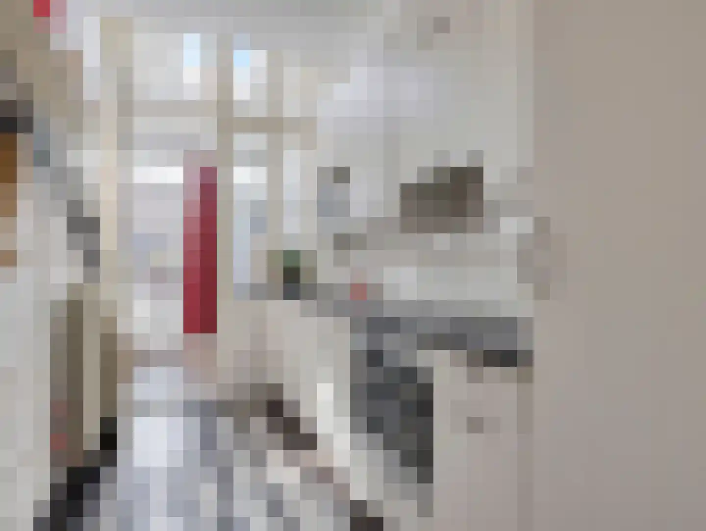 Herenstraat 76 Breukelen thumbnail 21
