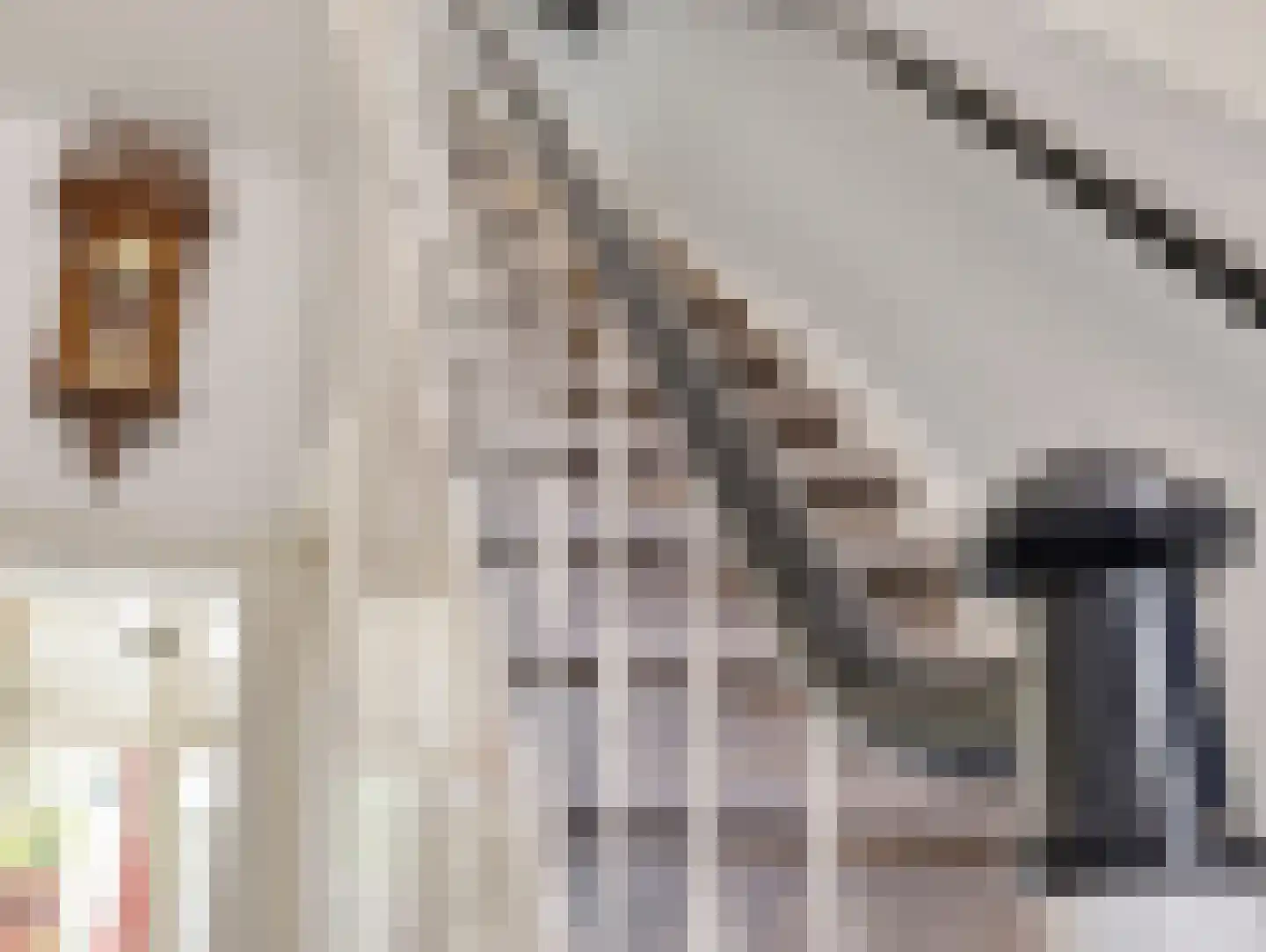 Herenstraat 76 Breukelen thumbnail 23