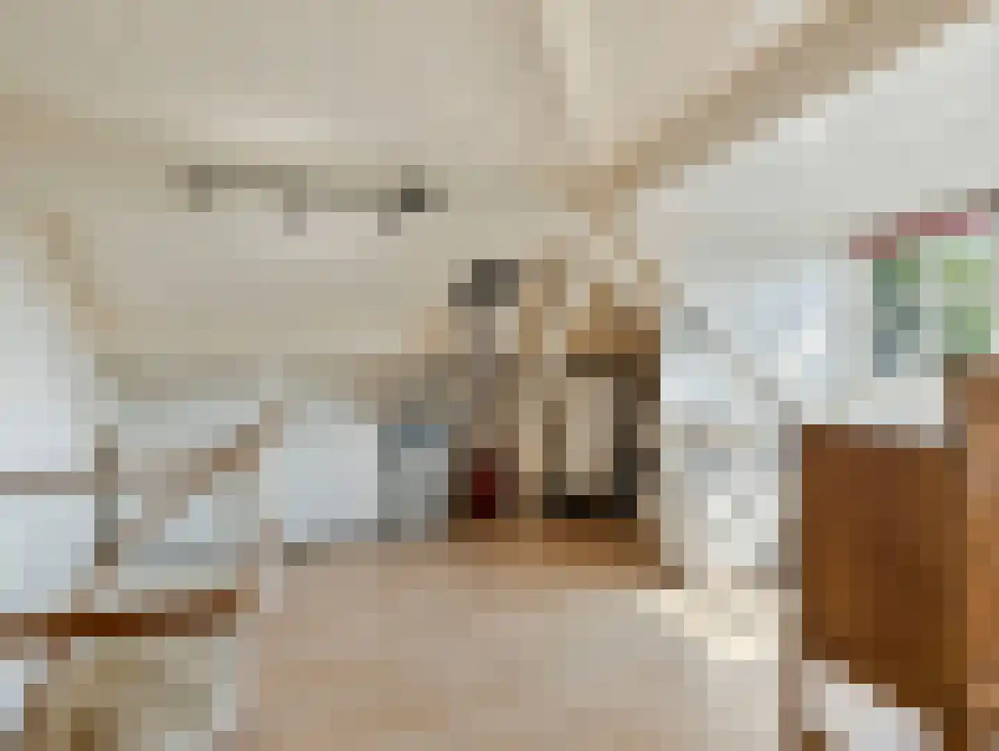 Herenstraat 76 Breukelen thumbnail 33
