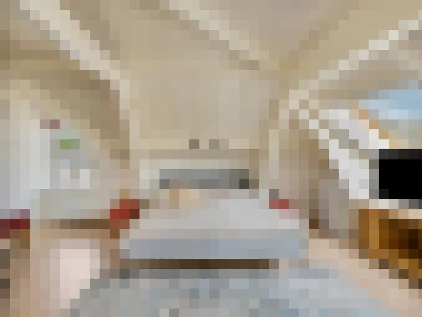 Herenstraat 76 Breukelen thumbnail 35