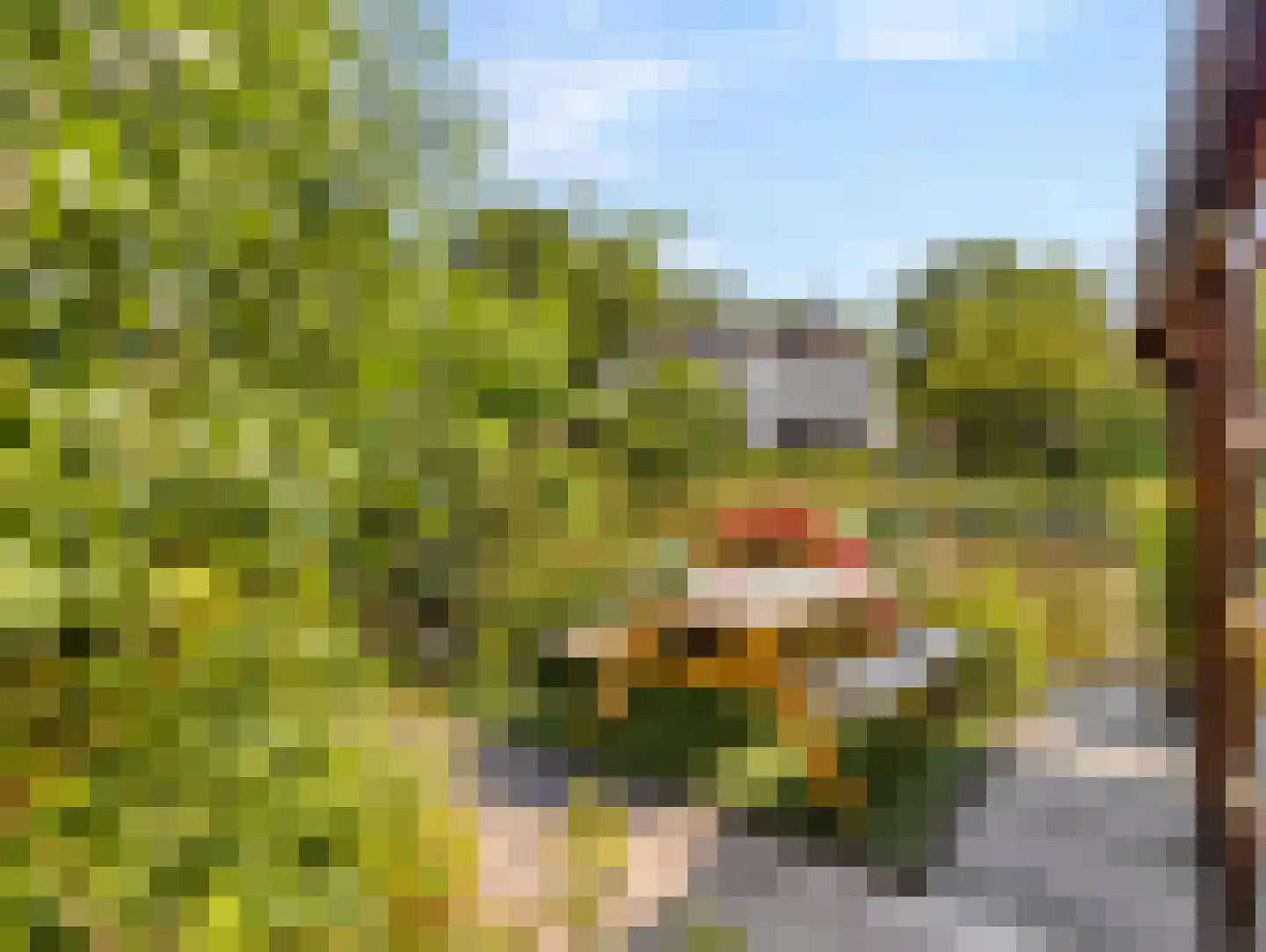 Herenstraat 76 Breukelen thumbnail 42