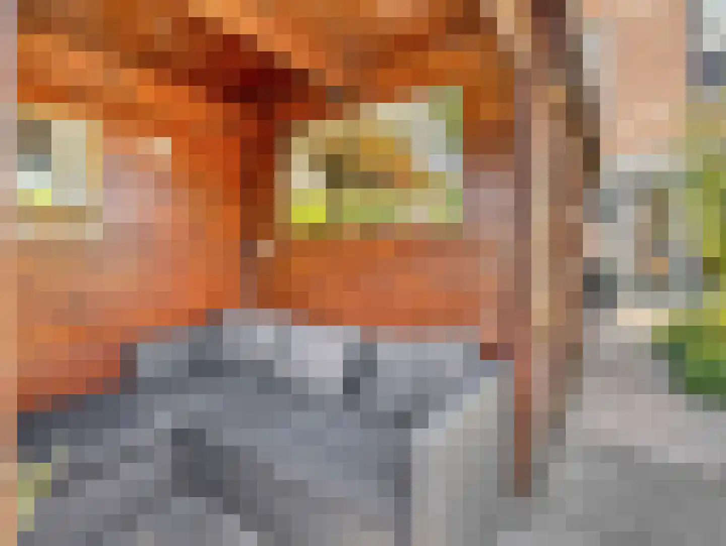 Herenstraat 76 Breukelen thumbnail 44