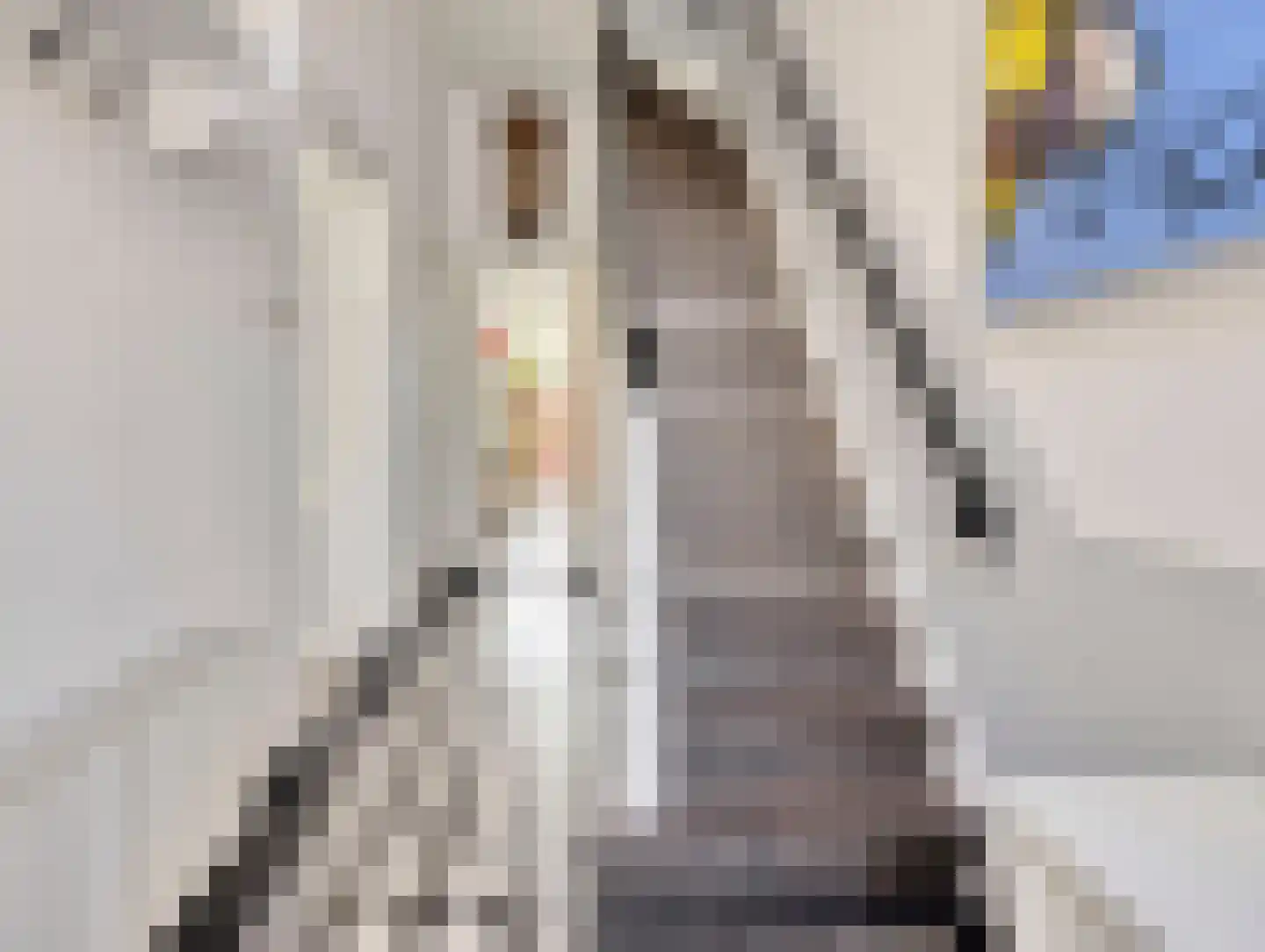 Herenstraat 76 Breukelen thumbnail 8