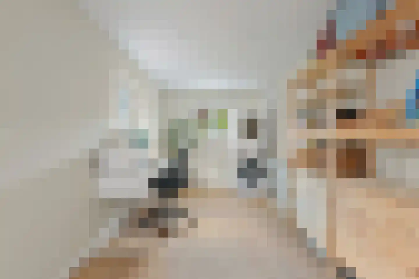 Herenstraat 78 Voorhout thumbnail 29
