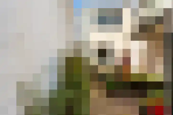 Herenstraat 79 Nieuwegein thumbnail 7