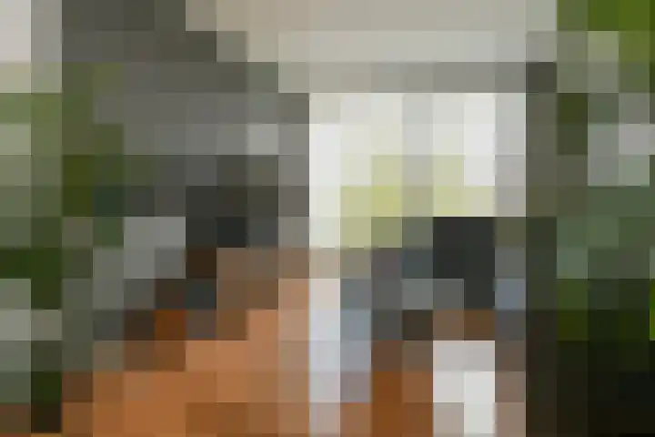 Herenstraat 79 Weert thumbnail 4