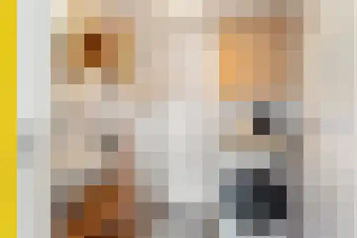 Herenstraat 8 E Utrecht thumbnail 25