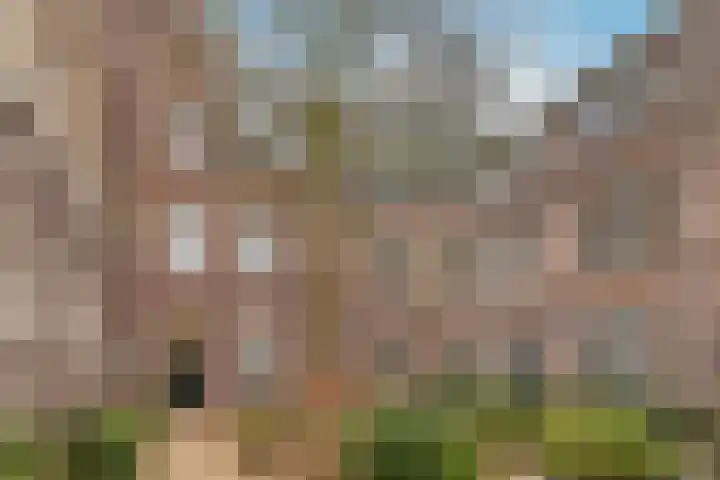 Herenstraat 8 E Utrecht thumbnail 30