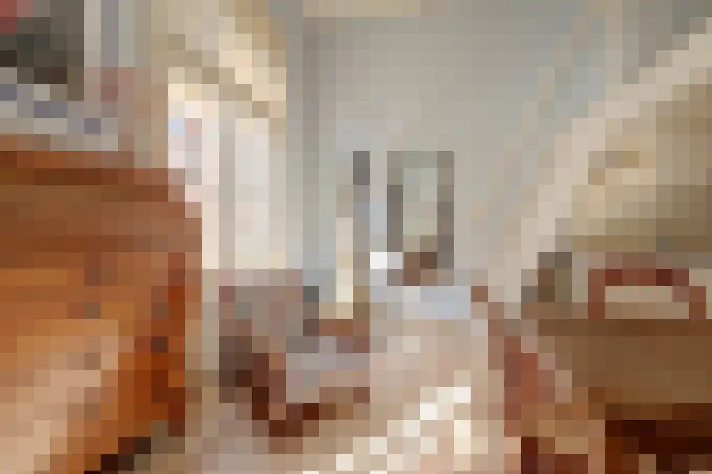 Herenstraat 8 Utrecht thumbnail 21