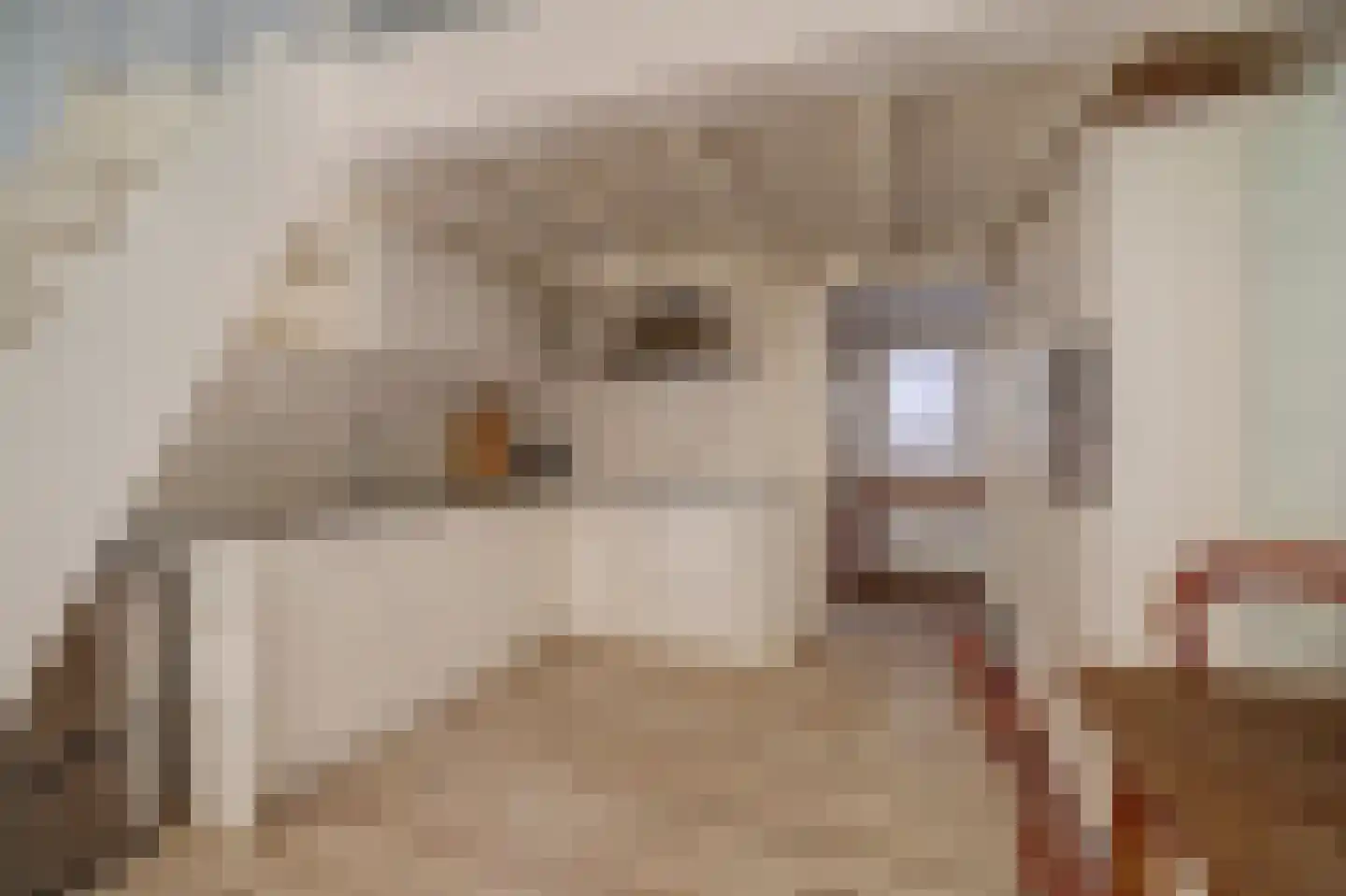 Herenstraat 8 Utrecht thumbnail 23