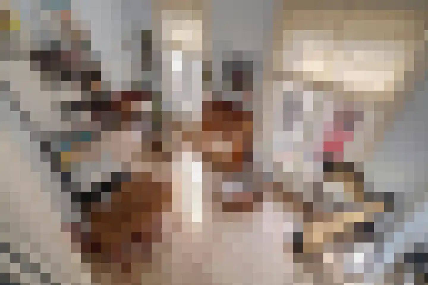 Herenstraat 8 Utrecht thumbnail 29