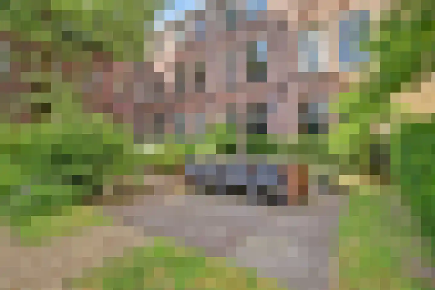 Herenstraat 8 Utrecht thumbnail 34