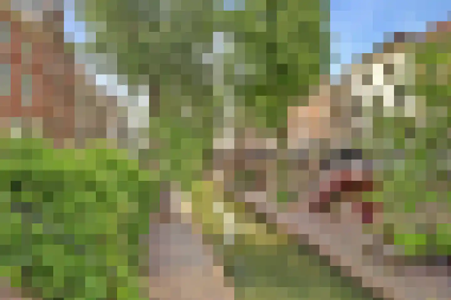 Herenstraat 8 Utrecht thumbnail 39