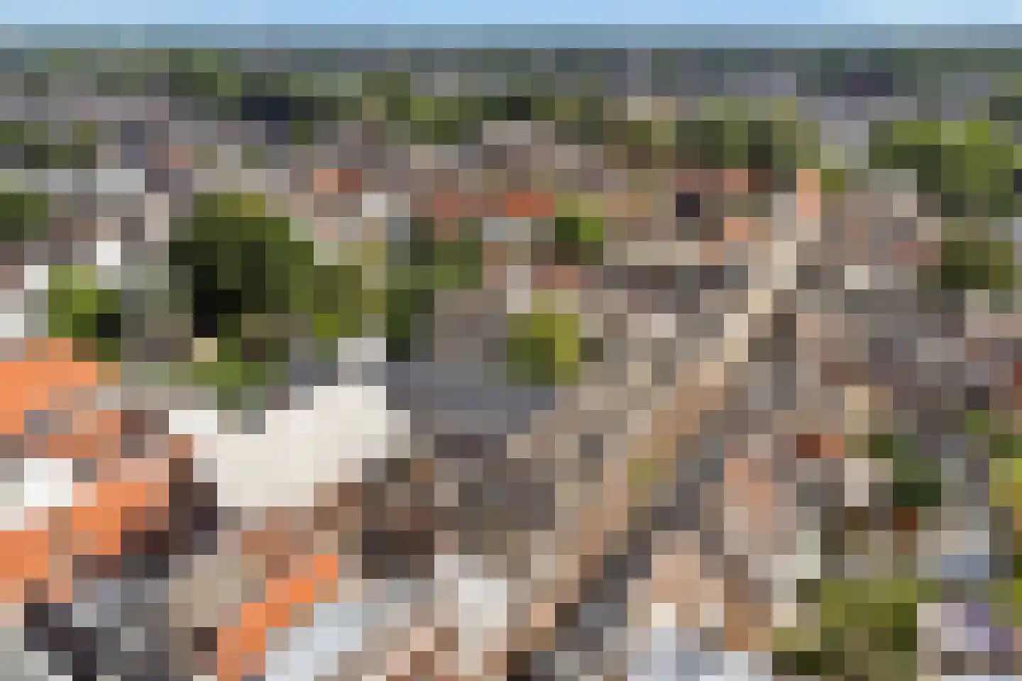 Herenstraat 8 Utrecht thumbnail 41